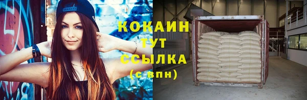 соль ск Надым