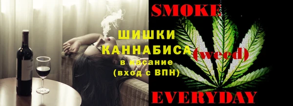 соль ск Надым