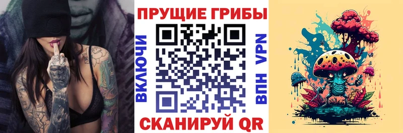 Псилоцибиновые грибы GOLDEN TEACHER  darknet формула  Лабинск 