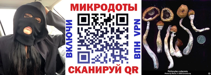 Псилоцибиновые грибы Psilocybe Лабинск