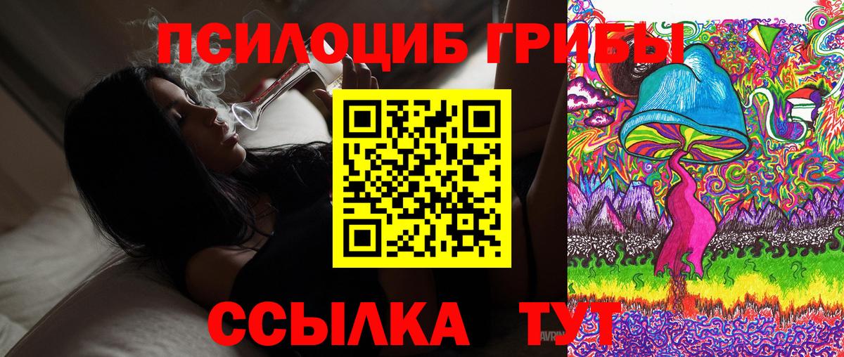 Лабинск  Псилоцибиновые грибы Cubensis  Вход с VPN 